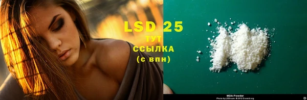 марки lsd Новозыбков