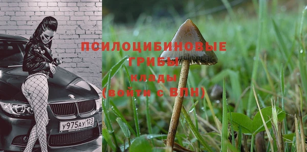 jwh Верхний Тагил