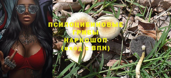 марки lsd Новозыбков
